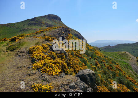 Ascent up Whinny Hill to Arthur's Seat in Holyrood Park, Edinburgh, Scotland Stock Photo