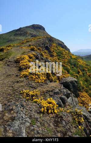 Ascent up Whinny Hill to Arthur's Seat in Holyrood Park, Edinburgh ...