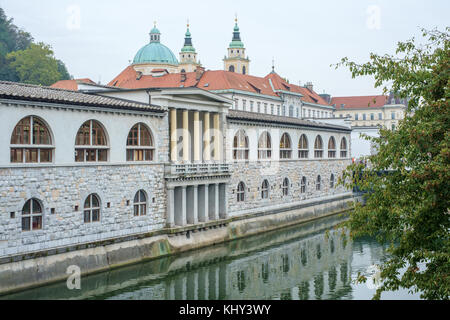 Central Market viewed from Dragon bridge in the Old Town of Ljubljana. Ljubljana dates back to the 12th century and is the capital of Slovenia. Stock Photo