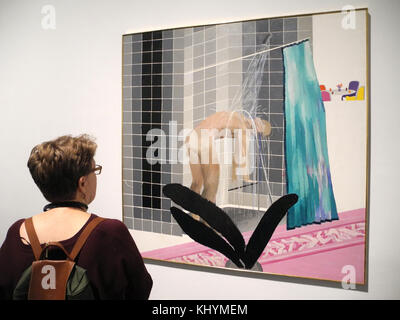 New York, USA. 20th Nov, 2017. A visitor stands in front of David Hockney's 'Man in Shower in Beverly Hills' painting at the Metropolitan Museum of Art in New York, USA, 20 November 2017. The Museum is dedicating a large retrospective to the work of Hockney, which spans almost 60 years. Credit: Johannes Schmitt-Tegge/dpa/Alamy Live News Stock Photo