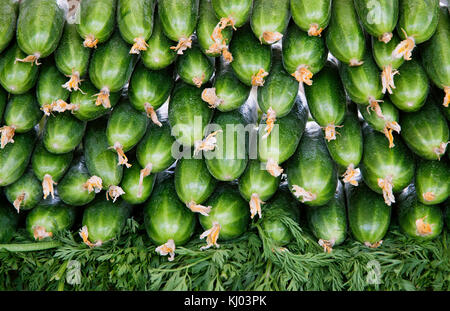 Fresh cucumbers at the market Stock Photo