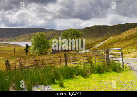 Landscape with a ruined farmhouse and  mountain lake in moorland habitat. Bugeilyn Nature Reserve, Powys, Wales. September. Stock Photo