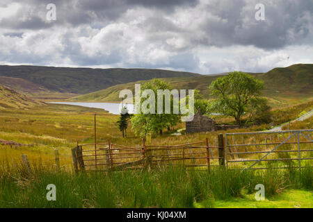 Landscape with a ruined farmhouse and  mountain lake in moorland habitat. Bugeilyn Nature Reserve, Powys, Wales. September. Stock Photo