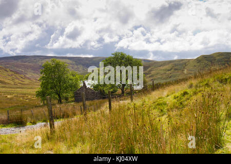 Landscape with a ruined farmhouse and  mountain lake in moorland habitat. Bugeilyn Nature Reserve, Powys, Wales. September. Stock Photo