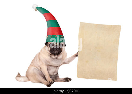 Christmas pug puppy dog sitting down and wearing elf hat, holding paper scroll, isolated on white background Stock Photo