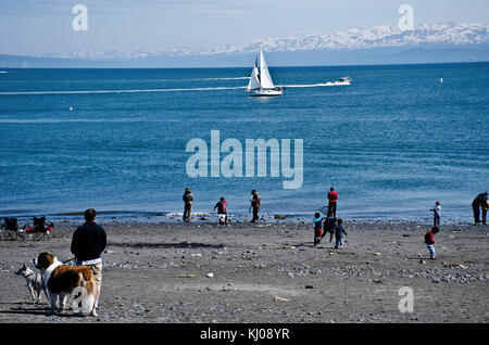 People playing on beach at low tide of Homer Spit with sailboat and motorboats in Kachemak Bay, Kenai Peninsula, Alaska Stock Photo