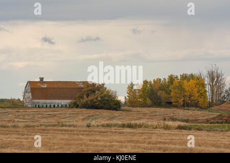 Old farm on the Prairies Stock Photo