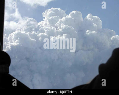 Huge white and gray smoke rising from forest fire Stock Photo