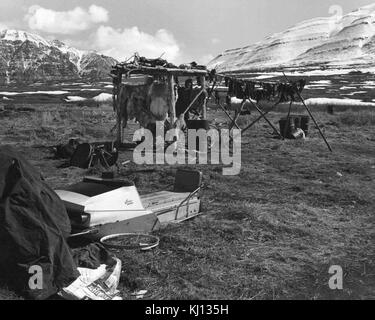 A drying rack in Anaktuvuk Pass, Alaska, used by indigenous communities ...