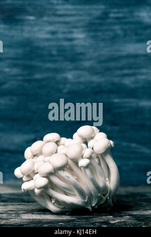 a bunch of raw japanese bunapi-shimeji mushrooms, also know as white beech or white clamshell mushrooms, against a rustic wooden surface with a blank  Stock Photo
