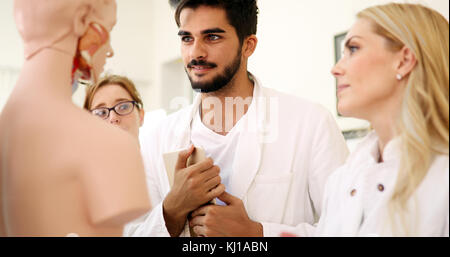 Students of medicine examining anatomical model in classroom Stock Photo