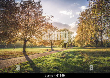Classic autumn landscape with colorful leaves and the sunshine streaming through the trees. Stock Photo