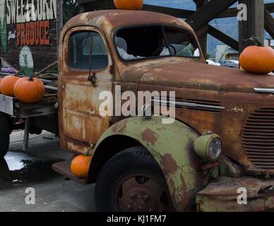 A local market displaying pumpkins beside the highway in Salmon Arm, B.C. Stock Photo