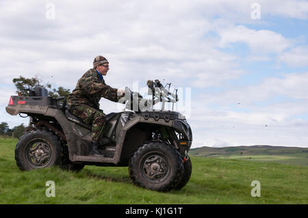 A young boy riding a two seater quad (ATV) across a field at speed with a rifle and hunting poles on the front, in Weardale , County Durham. Stock Photo