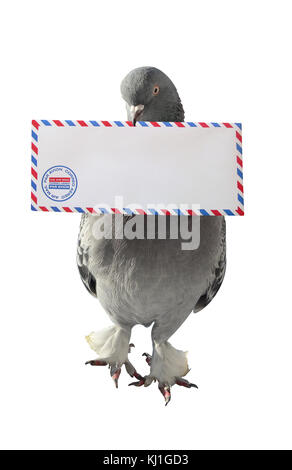 Dove Carrying Air Mail Envelope White Background Vertical Photo Stock Photo