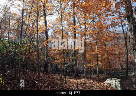 Autumn scenic, Harriman State Park, Sloatsburg, NY, USA Stock Photo