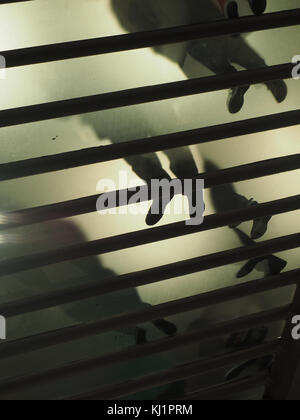 view upwards through semi-transparent glass flooring of travel hub above shows anonymous feet & ankles of commuters on walkway in monochrome abstract Stock Photo