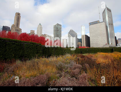 Fall colors and foliage as seen from the Lurie Garden at Millennium Park in Chicago, Illinois, United States. Stock Photo