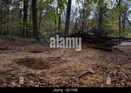 November 7, 2017 - Elsdorf, North-Rhine Westphalia, Germany - Trenches and barricades designed to slow down any eviction process. Starting in 2012, the Hambach Forest occupation settlements have slowed the expansion of the Tagebau Hambach coal mine for the last five years. With 17 tree houses and about 50 activists, the movement is specialised in avoiding eviction tactics from the authorities. Credit: Alban Grosdidier/SOPA/ZUMA Wire/Alamy Live News Stock Photo