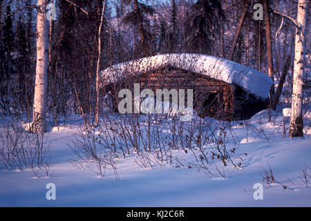 Old trapper cabin in forest Stock Photo