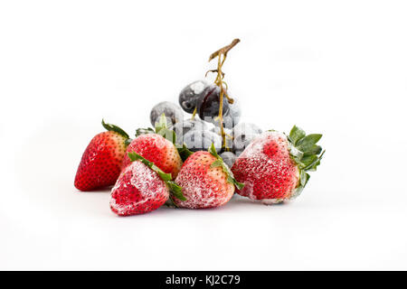 Fizzy Frozen Fruits Stock Photo