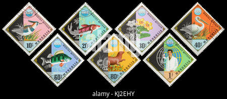 Mongolia - circa 1974: A postage stamps printed in the Mongolian shows image Environmental Protection series, circa 1974. Stock Photo