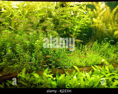 Gallery image with a fresh perspective