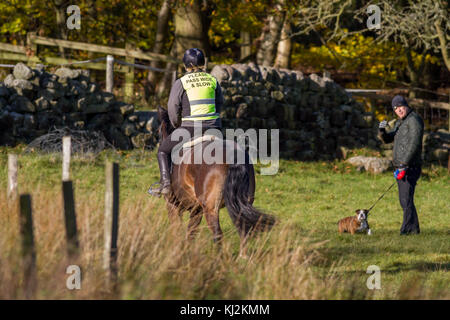Horse and rider passing a dog walker in a field with a wide berth Stock Photo