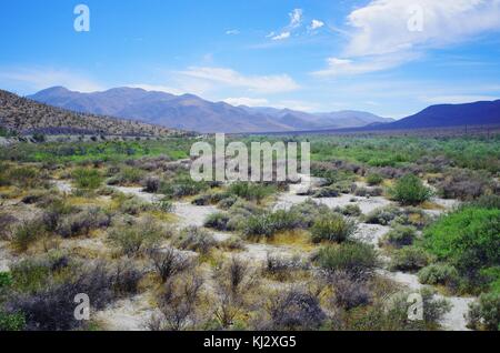 Earth Portal Official Stock Photo