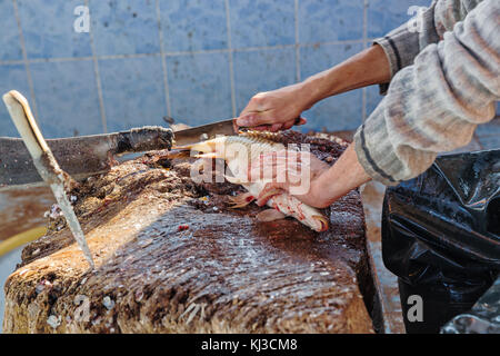 Hands of a man cleaning fresh caught fish outdoors Stock Photo