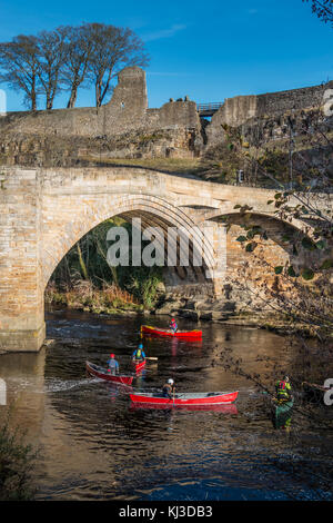 A group of people canoeing on the river Tees under County Bridge, Barnard Castle, UK, with part of the castle ruins in the background Stock Photo