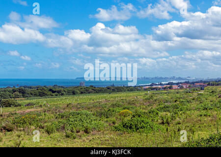 Green coastal vegetation against sea and distant Durban city skyline with blue cloudy sky landscape view from Umhlanga ridge in Durban, South Africa Stock Photo