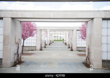 Cherry Trees in Columbarium Court 9 of Arlington National Cemetery (25259808923) Stock Photo