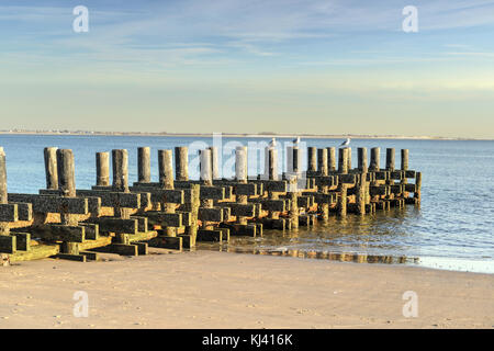 Old Pier along Brighton Beach, Coney Island Beach with seagulls resting in Brooklyn, New York. Stock Photo