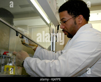 This image shows pipetting activities, a laboratory technique used to transfer precise volumes of liquid. It is a common procedure in scientific research, particularly in biology and chemistry labs, for tasks like sample preparation and reagent addition. Stock Photo
