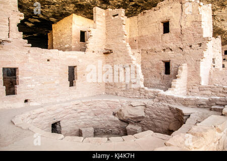 Spruce Tree House, cliff dwelling habitat ruins of the Anasazis Indians in Mesa Verde National Park Stock Photo