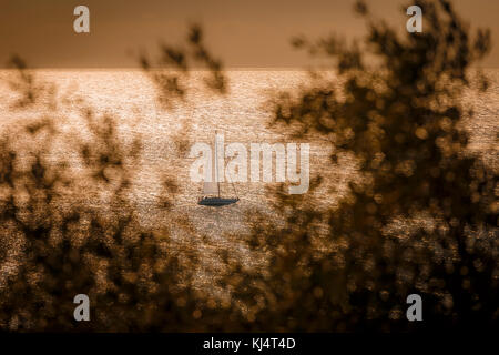 Sailboat in the sparkling sea framed by blurry olive branches. Stock Photo