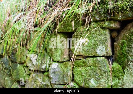 Stone wall with green moss growing on it at Moganshan in China Stock Photo