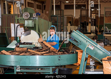 Female worker operating a cutting machine for cork oak bark, Cork factory Nova Cortica, Sao Bras de Alportel, Algarve, Portugal Stock Photo