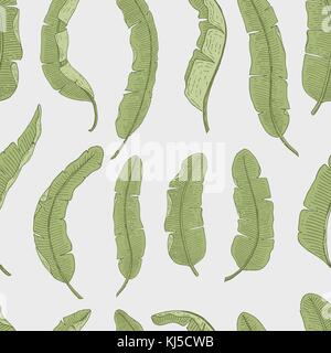 tropical or exotic leaves. seamless pattern. leaf of different vintage looking plants. palm with banana botany set. flowers engraved vintage, hand drawn. botanical organic product. green background. Stock Vector