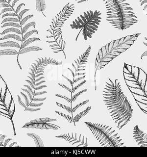 tropical or exotic leaves. seamless pattern. leaf of different vintage looking plants. palm with banana botany set. flowers engraved vintage, hand drawn. botanical organic product. green background. Stock Vector