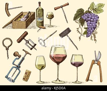 wine harvest products, press, grapes, vineyards corkscrews glasses bottles for menus and signage in the bar. engraved hand drawn in old sketch, vintage style for label or T-shirt. Stock Vector