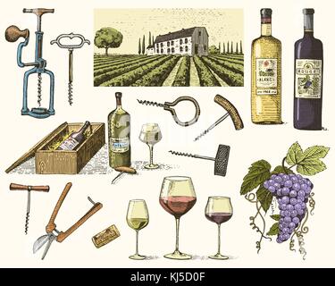 wine harvest products, press, grapes, vineyards corkscrews glasses bottles for menus and signage in the bar. engraved hand drawn in old sketch, vintage style for label or T-shirt. Stock Vector