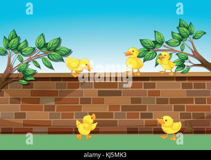 Illustration of a wall with five ducklings Stock Vector