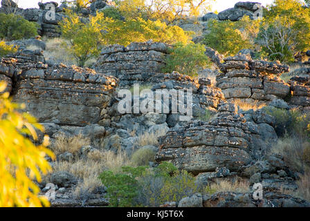 Riversleigh Fossil Fields, Boodjamulla National Park, Western Queensland Stock Photo