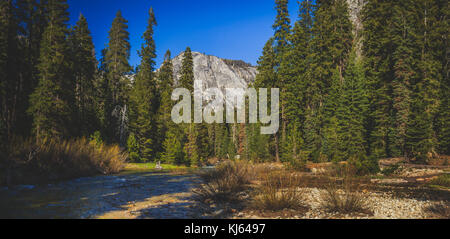 Marble Fork Kaweah River winding through the dense forest with a mountain in the background along the Tokopah Valley Trail, Sequoia National Park, Cal Stock Photo