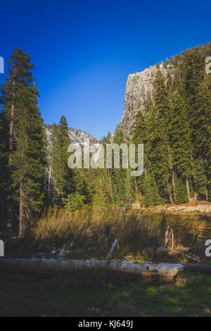 Fallen tree near the Marble Fork Kaweah River with a mountain in the background along the Tokopah Valley Trail, Sequoia National Park, California Stock Photo