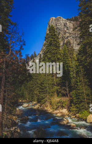 Tranquil Marble Fork Kaweah River flowing through the lush forest with a mountain in the background along the Tokopah Valley Trail, Sequoia National P Stock Photo