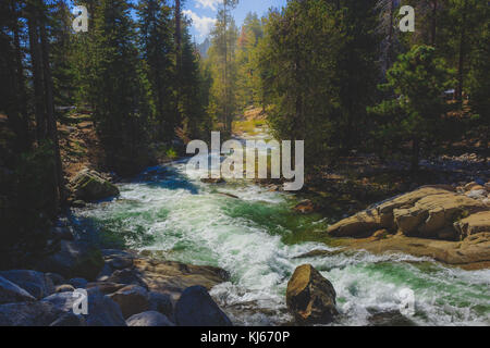 Winding Marble Fork Kaweah River flowing through the dense forest along the Tokopah Valley Trail, Sequoia National Park, California Stock Photo