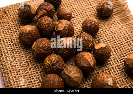 Raw Aritha or Reetha fruit also known as Soap-nuts which is the main ingredient in any soaps and shampoos. Also known as Sapindus emarginatus. selecti Stock Photo